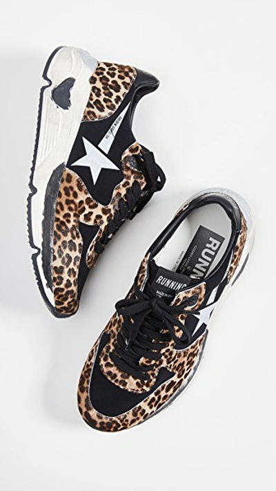 Shop Golden Goose Running Sole Sneakers In Leopard/white