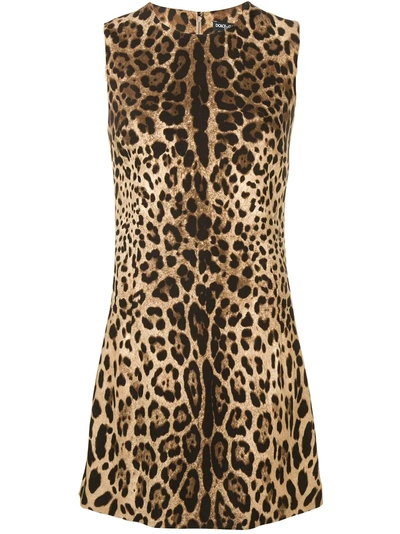Shop Dolce & Gabbana Leopard Print Dress - Brown