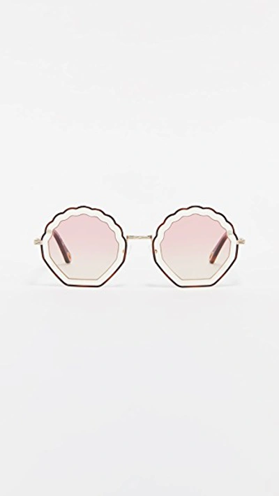 Shop Chloé Tally Round Scalloped Sunglasses In Havana Sand/rose Grad