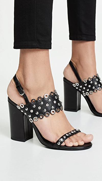 Shop Ash Lucy Sandals In Black