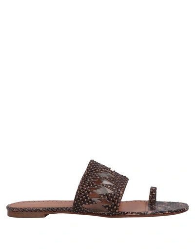 Shop Alexa Wagner Flip Flops In Dark Brown