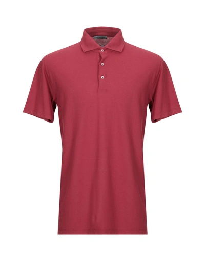 Shop Vengera Polo Shirt In Brick Red