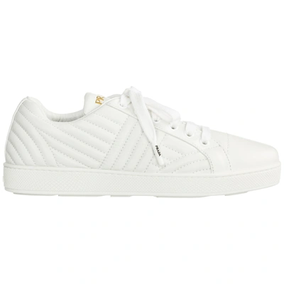 Shop Prada Women's Shoes Leather Trainers Sneakers In White