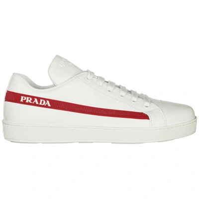 Shop Prada Women's Shoes Leather Trainers Sneakers In White