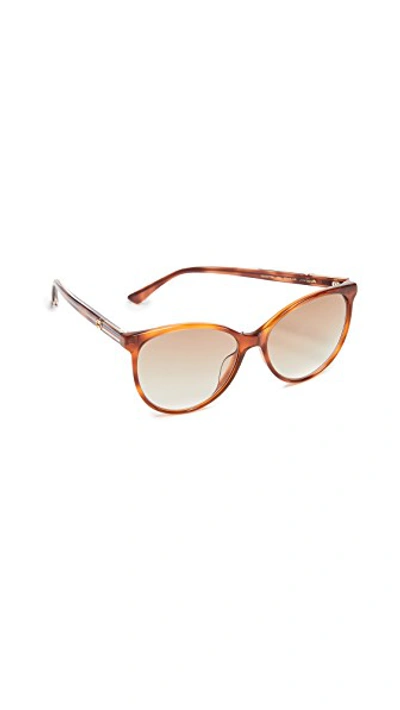 Shop Gucci Web Cat Eye Sunglasses In Blonde Havana/brown