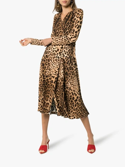 Shop Dolce & Gabbana Leopard Print Flared Dress In Hy13m Brown Animal