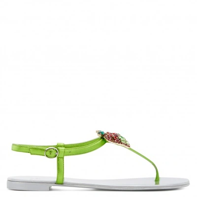 Shop Giuseppe Zanotti Berry In Green