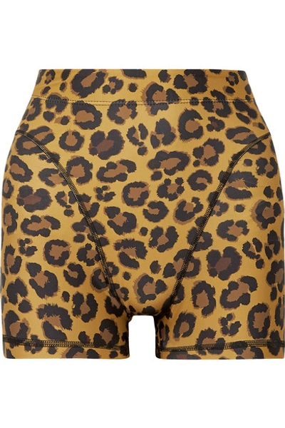 Shop Adam Selman Sport Leopard-print Stretch Shorts In Leopard Print