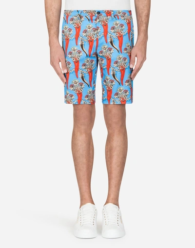 Shop Dolce & Gabbana Printed Stretch Cotton Bermuda Shorts In Multi-colored