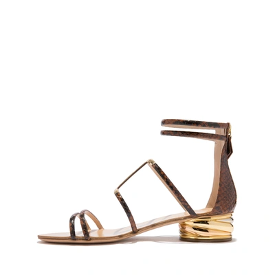 Shop Casadei Aurora Trio In Russet