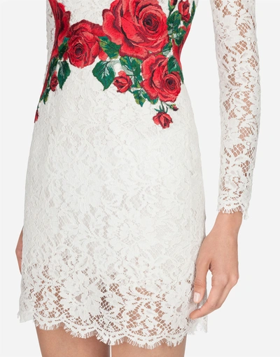 Shop Dolce & Gabbana Embroidered Lace Dress In White