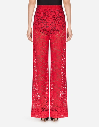 Shop Dolce & Gabbana Lace Pants In Red