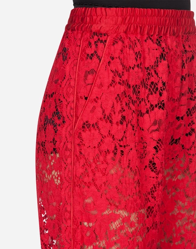 Shop Dolce & Gabbana Lace Pants In Red