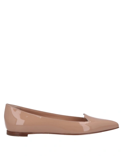 Sergio Rossi Ballet Flats In Pink