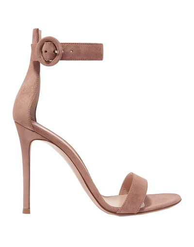 Shop Gianvito Rossi Woman Sandals Pastel Pink Size 6.5 Leather