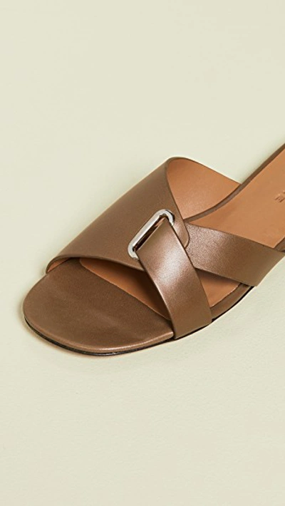 Shop Robert Clergerie Aston Slides In Birch