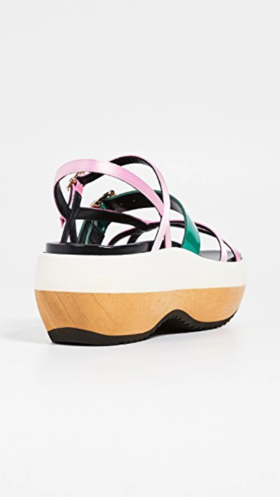 Shop Marni Wedge Sandals In Light Pink/forest Green