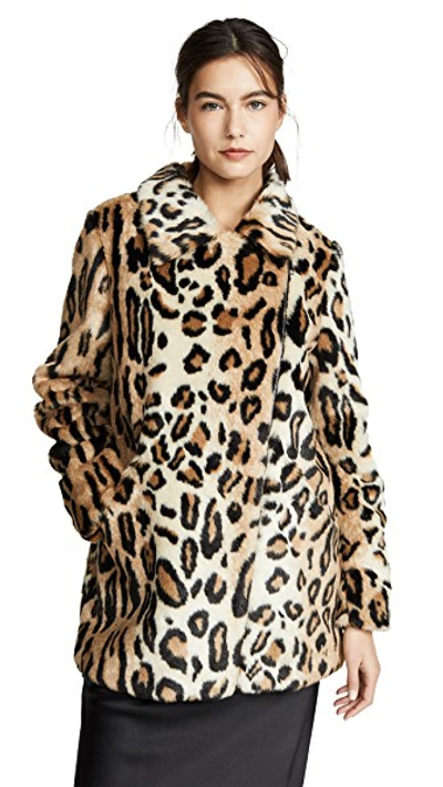 Shop Apparis Violette Coat In Leopard