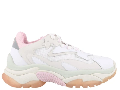 Shop Ash Addict Sneakers In White Pink