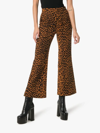 Shop Push Button Pushbutton Leopard Print Cotton Trousers In Brown
