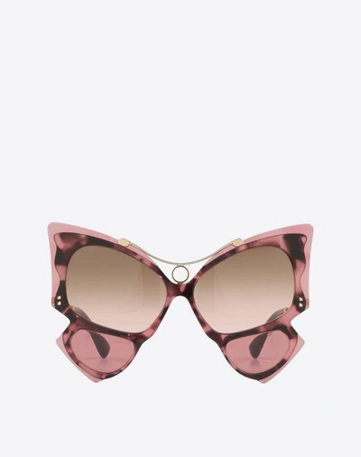 Valentino Occhiali Oversized Butterfly Frame Acetate Sunglasses In Pink |  ModeSens