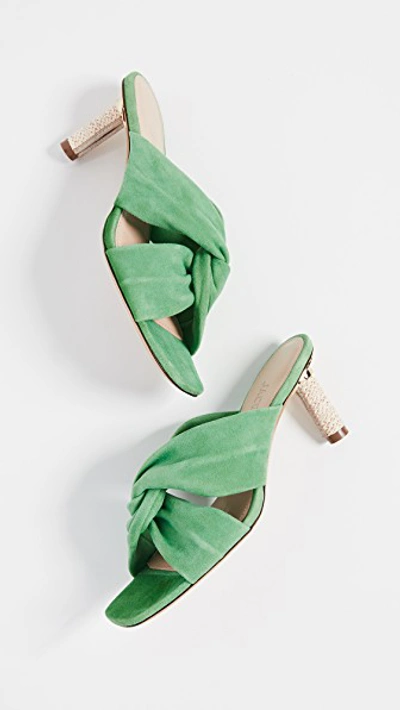 Shop Jacquemus Les Mules Bellagio In Green