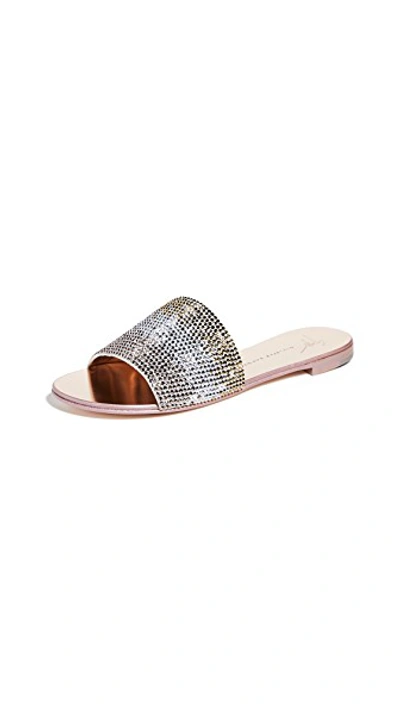 Shop Giuseppe Zanotti Nuvòroll 10 Slides In Rose