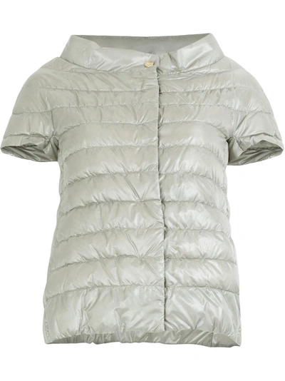 Shop Herno Shortsleeved Puffer Jacket In Grey