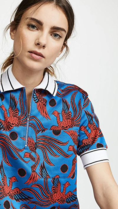 Shop Kenzo Zipped Short Sleeve Polo Shirt In Cobalt