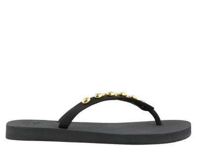 Shop Giuseppe Zanotti Hollywood Flip Flop Sandals In Black/ Gold