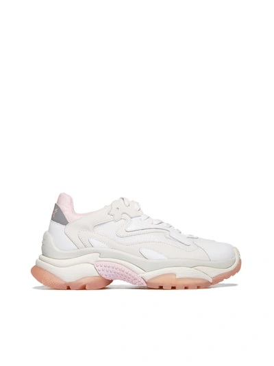 Shop Ash Sneakers In Bianco Beige Rosa