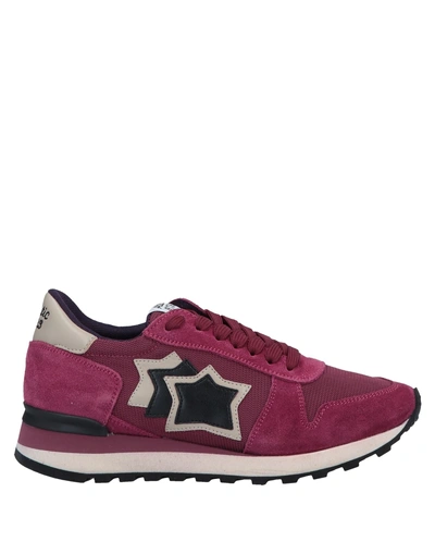 Shop Atlantic Stars Sneakers In Garnet