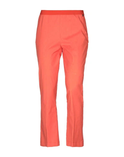 Shop Twinset Woman Pants Orange Size 6 Cotton, Elastane