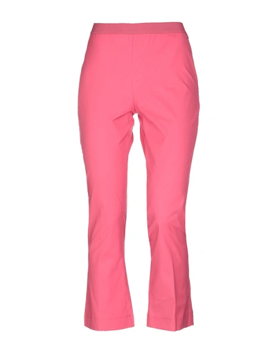 Shop Twinset Woman Pants Fuchsia Size 12 Cotton, Elastane In Pink