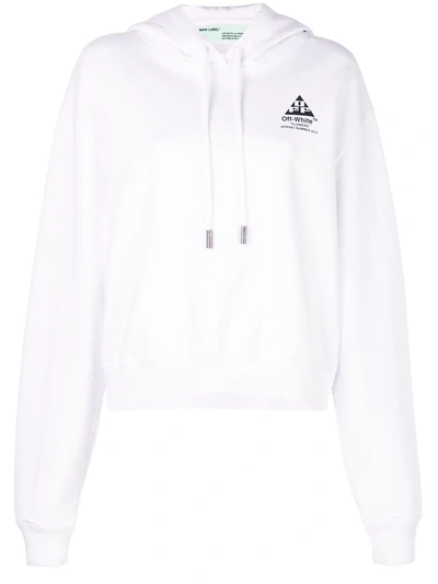 Shop Off-white Arrows And Flowers Hoodie