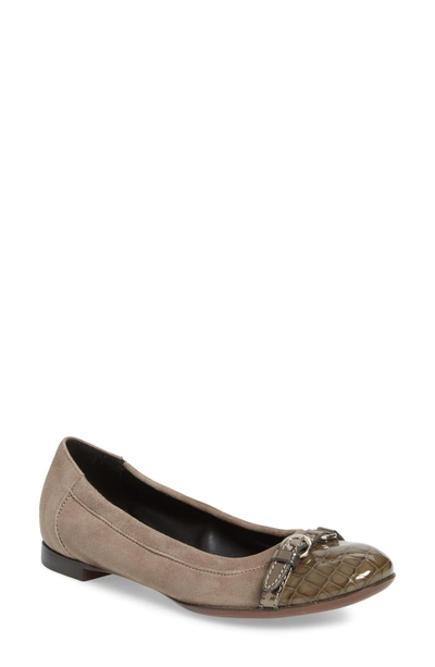 Shop Agl Attilio Giusti Leombruni Cap Toe Ballet Flat In Grey/ Grey Suede