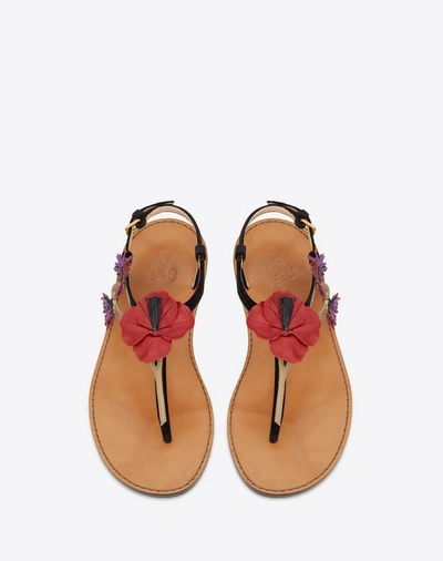 Shop Valentino Garavani Velvet Flat Thong Sandal With Poppy Embroidery Women Black 100% Lambskin 40
