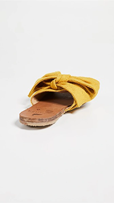 Shop Brother Vellies Burkina Slides In Golden