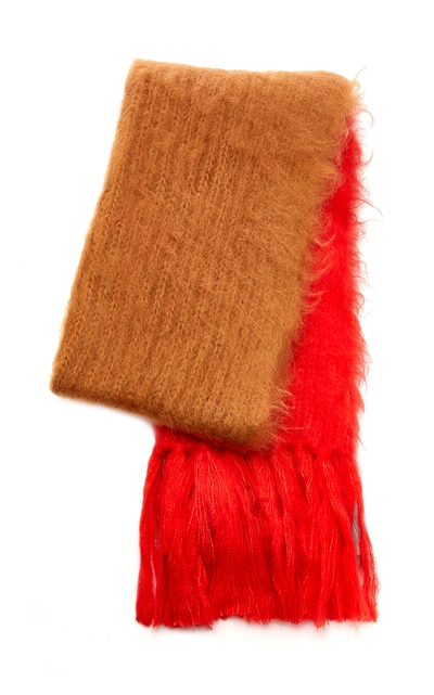 Shop Burberry Coloblocked Fringed Mohair-silk Scarf In Multi