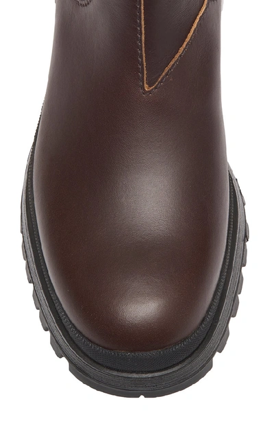 Shop Prada Leather And Neoprene Chelsea Boots In Brown