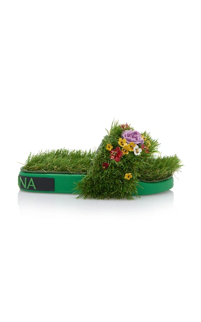 Dolce gabbana grass sandals 2025