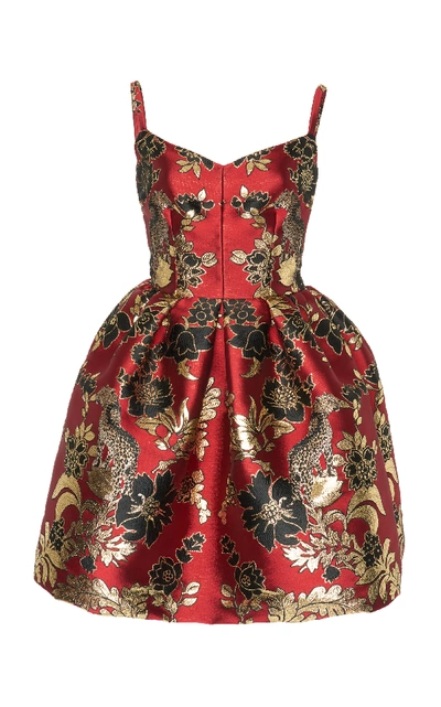Shop Dolce & Gabbana Floral And Leopard Jacquard Mini Dress