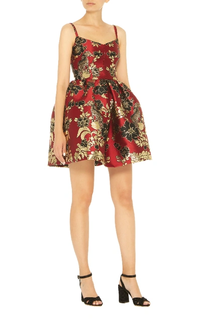 Shop Dolce & Gabbana Floral And Leopard Jacquard Mini Dress
