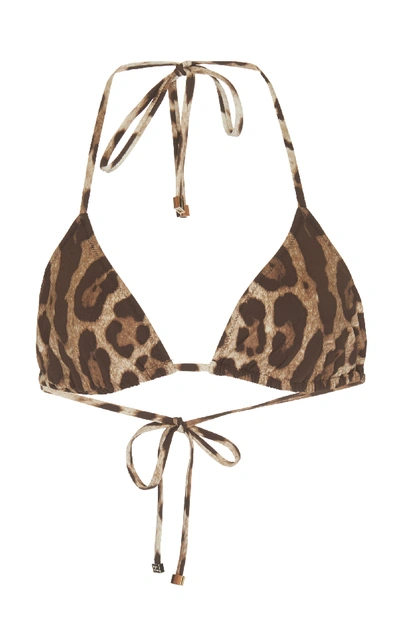 Shop Dolce & Gabbana Leopard-print Triangle Bikini Top In Animal