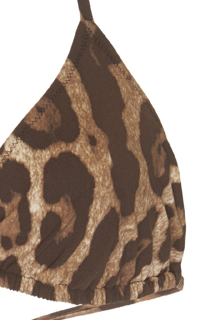 Shop Dolce & Gabbana Leopard-print Triangle Bikini Top In Animal