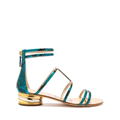 Shop Casadei Aurora Trio In Ariel