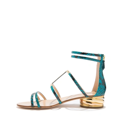 Shop Casadei Aurora Trio In Ariel