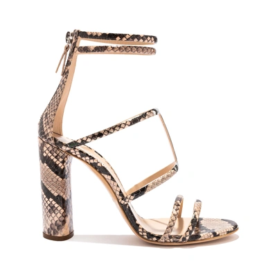 Shop Casadei Aurora Hydra In Pink Beach