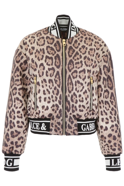 Shop Dolce & Gabbana Leopard-printed Bomber Jacket In Leo New (brown)