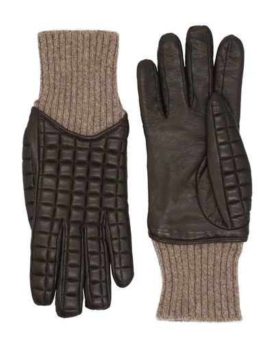 Shop Fedeli Gloves In Dark Brown